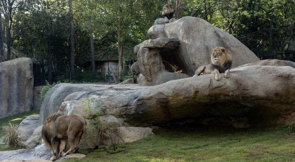 Zoo Atlanta