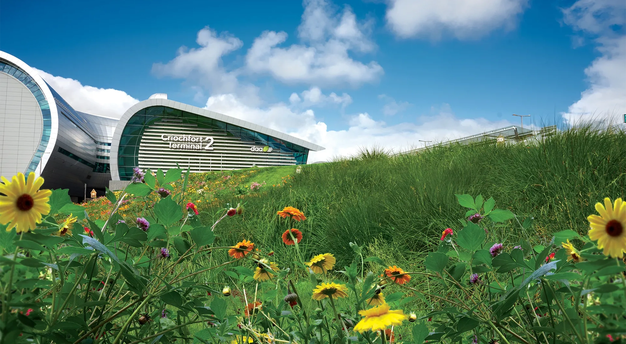 Daa IDP, Ireland, Modern building with green grass and sunflowers